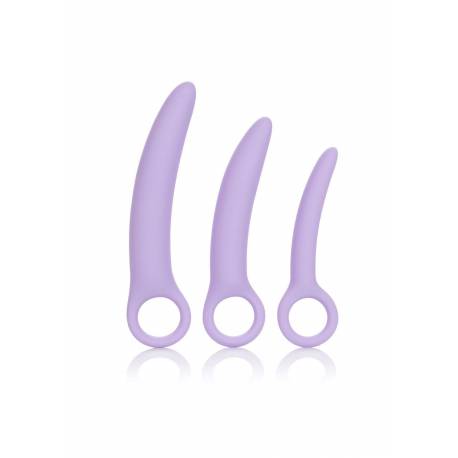 Alena Set Of 3 Dilators Purple