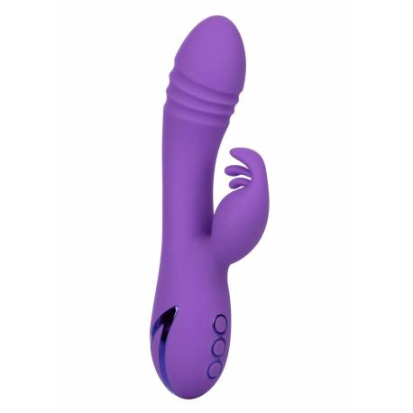 West Coast Wave Rider Purple